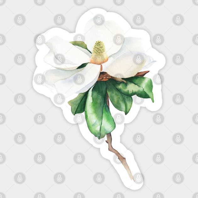 White magnolia watercolor art Sticker by InnaPatiutko